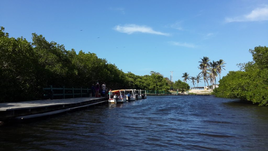 Parque Natural Laguna de La Restinga