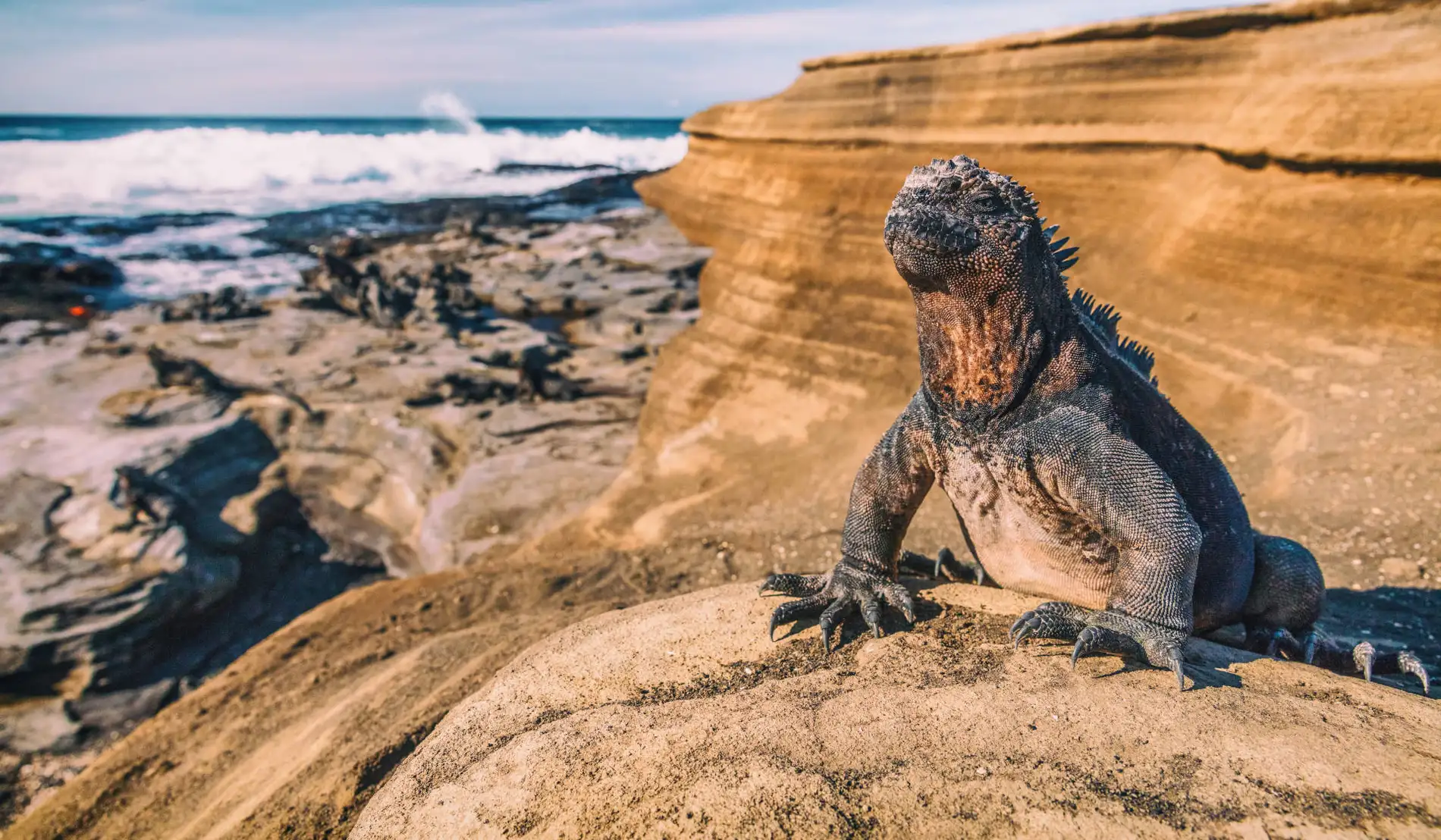 Islas Galapagos