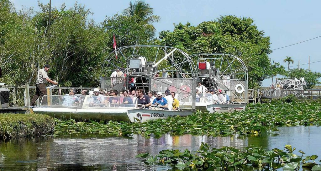 Día 4: Parque Nacional de los Everglades