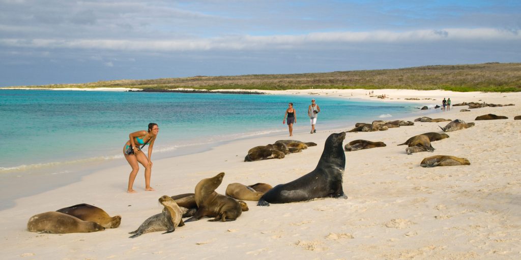 Islas Galápagos, Ecuador: Santuario de Vida Silvestre en el Pacífico