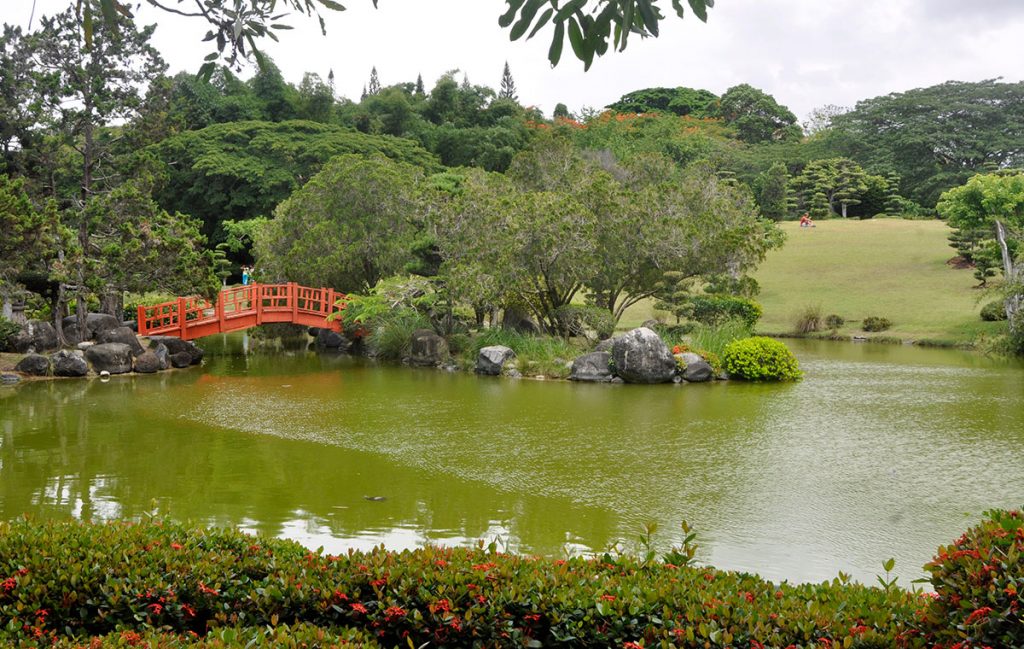 El Jardín Botánico Nacional