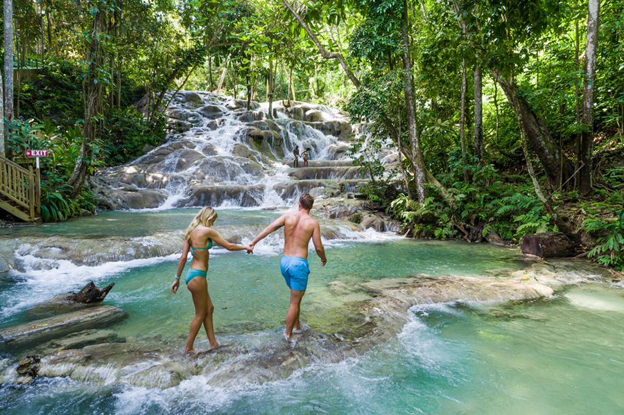 Sumérgete en la Belleza Escénica del Parque y las Cataratas del Río Dunn en Jamaica