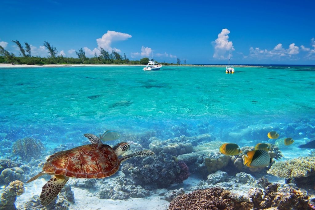 Barrera de Coral de Belice: Un Tesoro Submarino. Turismo en Cayo Ambergris: El destino imperdible de Belice.