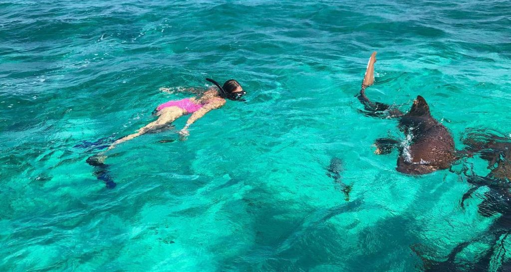 Hol Chan Marine Reserve y Shark Ray Alley. Turismo en Cayo Ambergris: El destino imperdible de Belice.