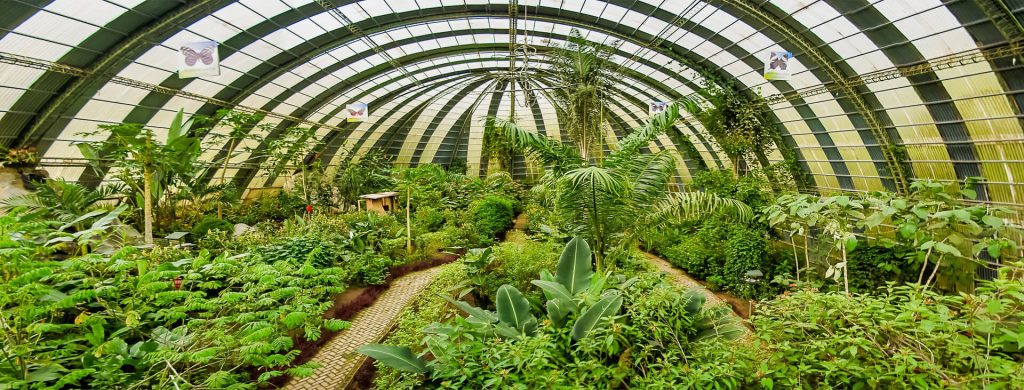 Jardín de Mariposas de Monteverde