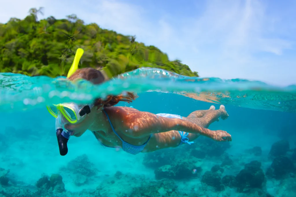 Snorkel y descubre la vida marina