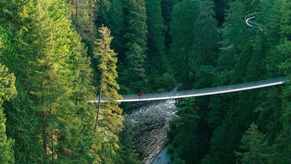 Puente Colgante Capilano