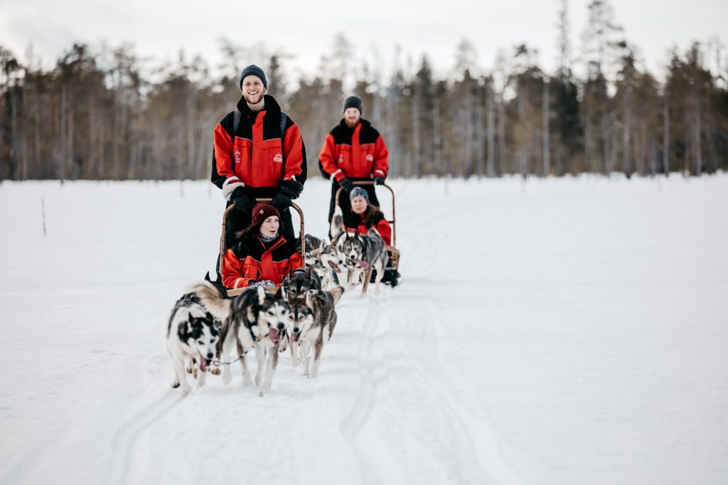 Safaris en Trineo con Renos y Huskies