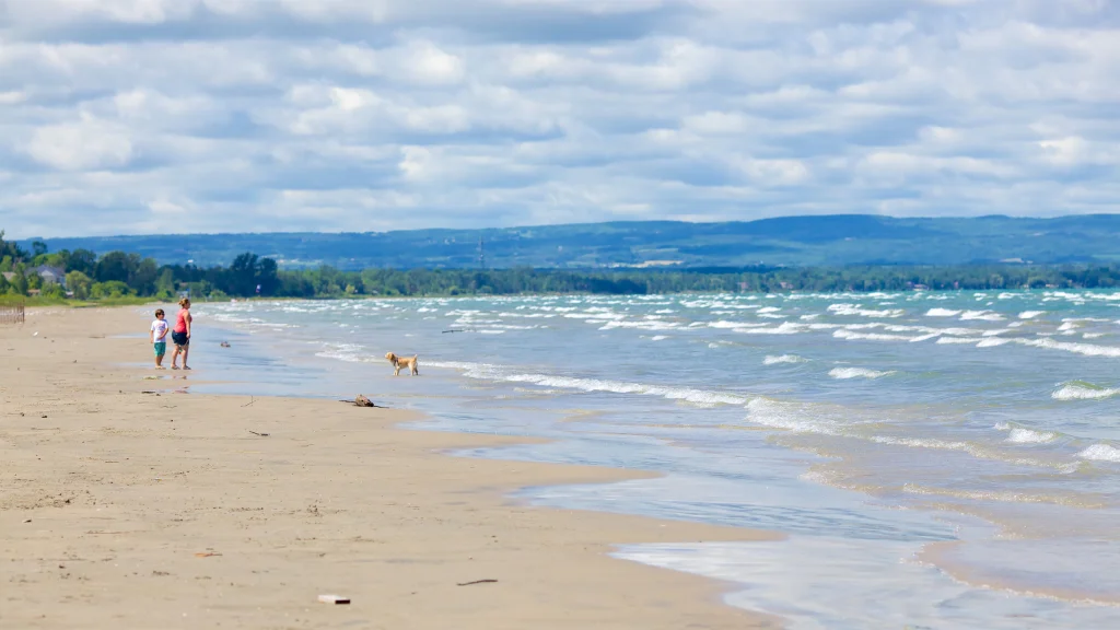 ¿Por qué Playa Wasaga Beach es tan especial?