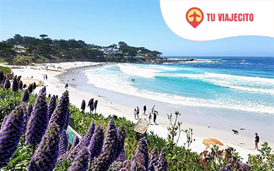 La Playa de Carmel: Tu guía completa para disfrutar de un Paraíso en California