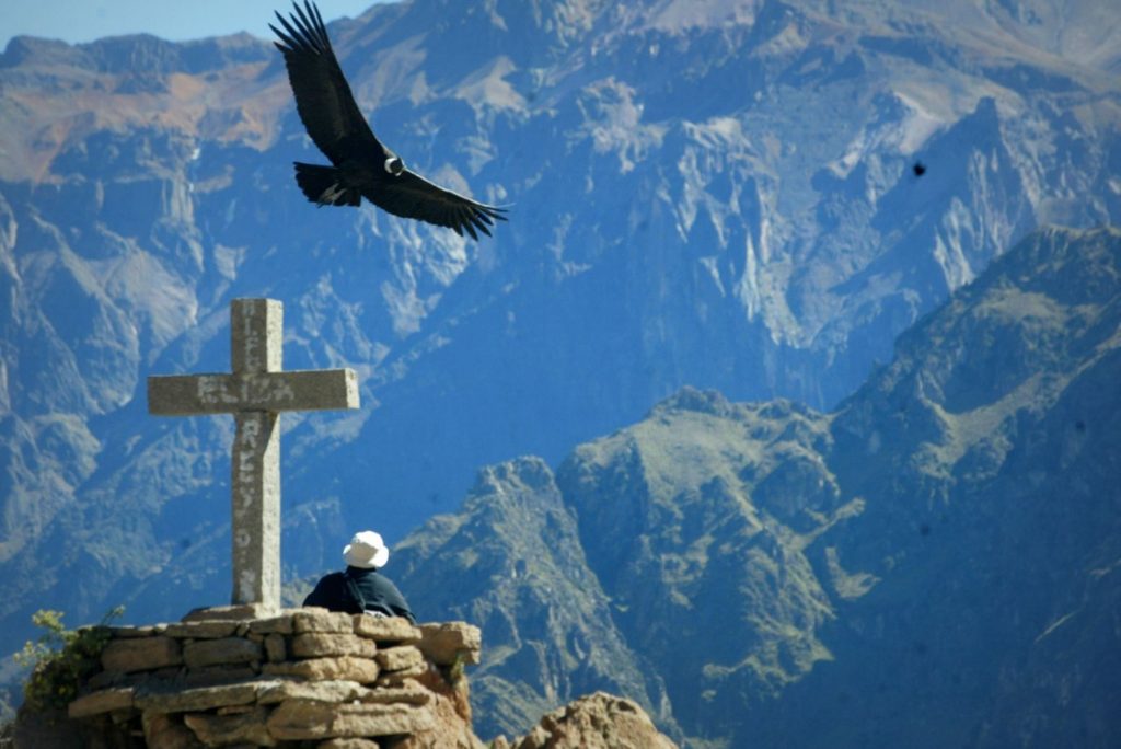 Un gigante natural: Características del Cañón del Colca