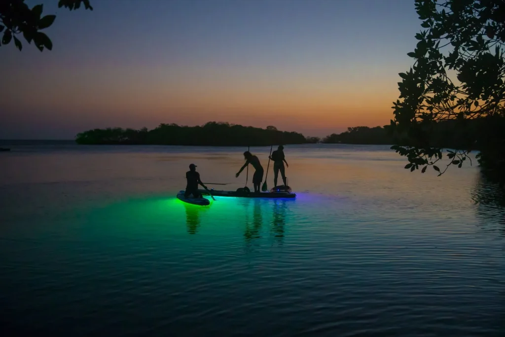 Bioluminiscencia en la Laguna Encantada