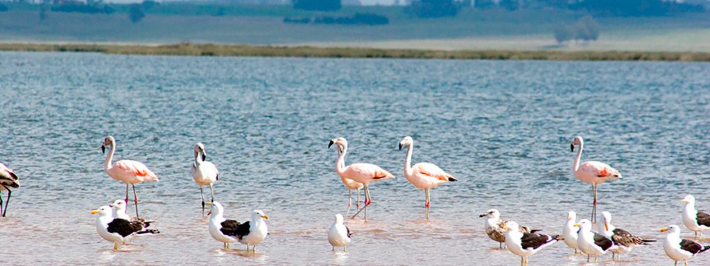 Actividades de ecoturismo en Uruguay